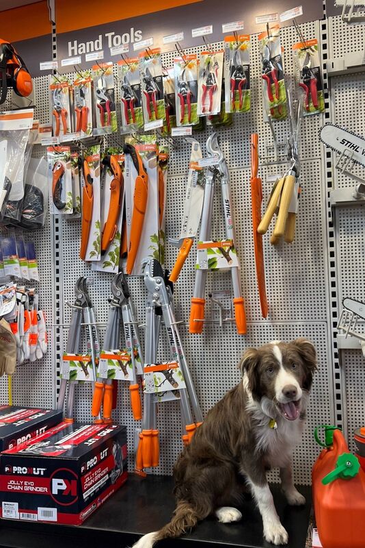 Stihl Shop Shepparton - Stihl Shop